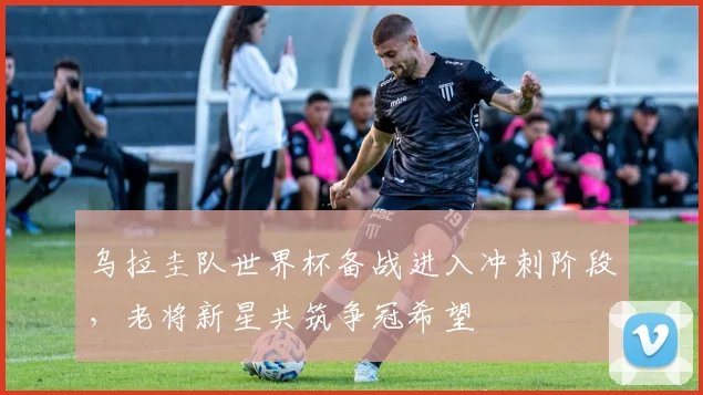 乌拉圭队世界杯备战进入冲刺阶段，老将新星共筑争冠希望