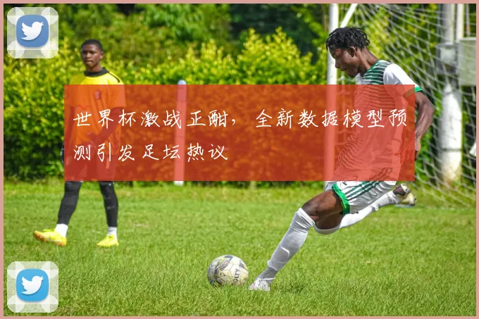 世界杯激战正酣，全新数据模型预测引发足坛热议