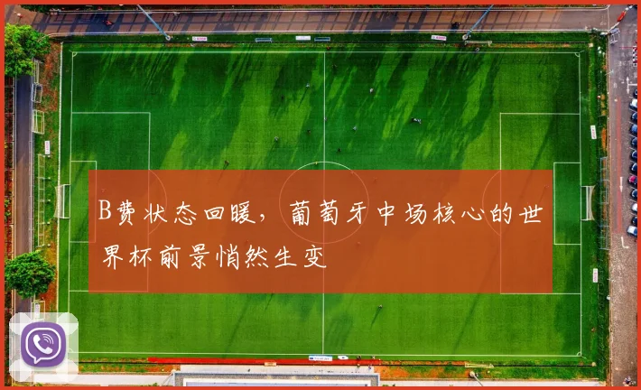 B费状态回暖，葡萄牙中场核心的世界杯前景悄然生变